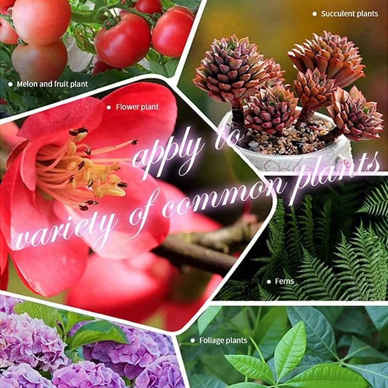 Home_Gardening_Universal_Slow-Release_Tablet_Organic_Fertilizer_-_-_tag1_-4274118 Home Gardening Universal Slow-Release Tablet Organic Fertilizer - - #tag1#