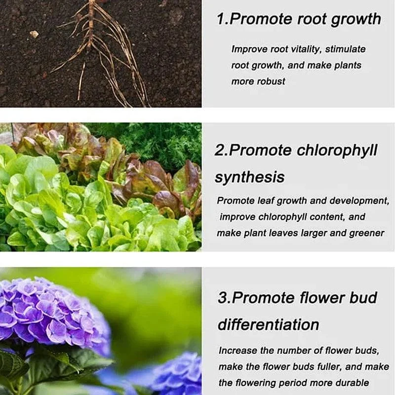 Home_Gardening_Universal_Slow-Release_Tablet_Organic_Fertilizer_-_-_tag1_-4274136 Home Gardening Universal Slow-Release Tablet Organic Fertilizer - - #tag1#