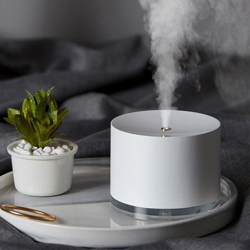 Homeko Air Humidifier & Purifier with LED Light -