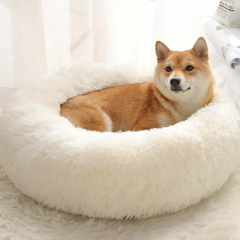 Homeko Calming Dog/Cat Bed -