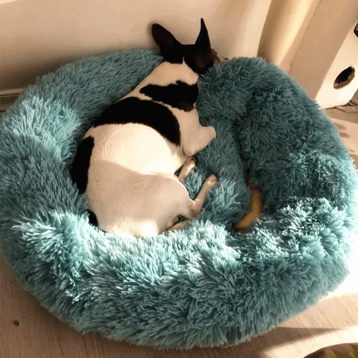 Homeko Calming Dog/Cat Bed -