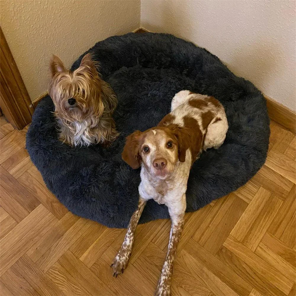 Homeko_Calming_Dog-Cat_Bed_-_-4219584 Homeko Calming Dog/Cat Bed -