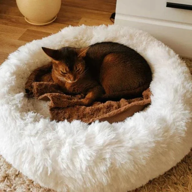 Homeko_Calming_Dog-Cat_Bed_-_-4219609 Homeko Calming Dog/Cat Bed -