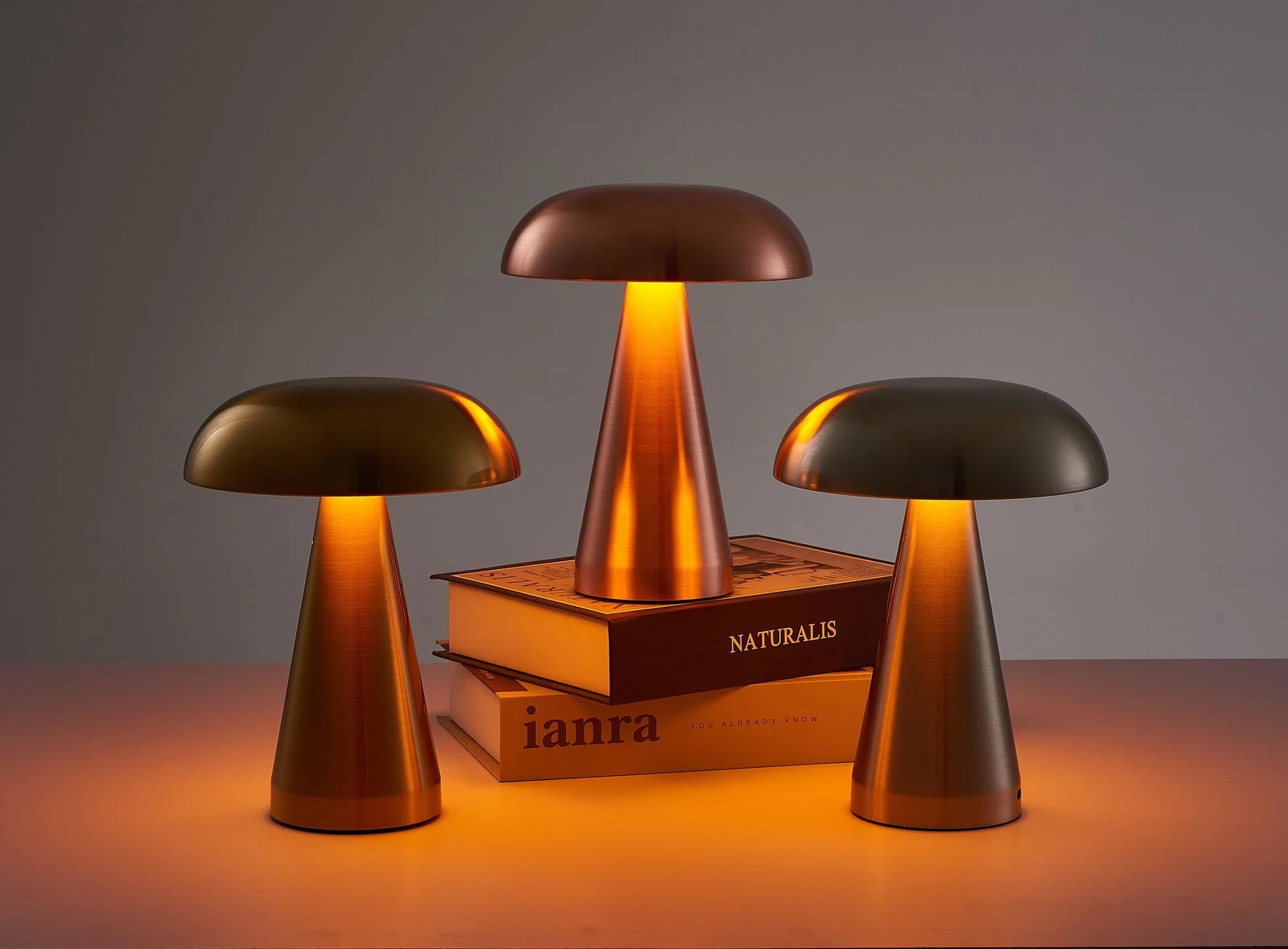 Homeko_Charm_LED_Table_Lamp_-_-4222137 Homeko Charm LED Table Lamp -