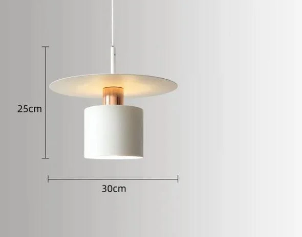 Homeko_Denmark_Disk_Round_Pendant_Light_-_-4228401 Homeko Denmark Disk Round Pendant Light -