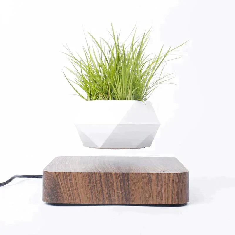 Homeko Levitating Flower Pot -