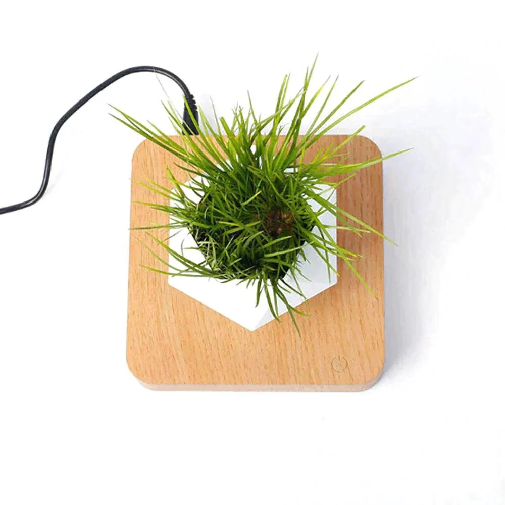 Homeko Levitating Flower Pot -