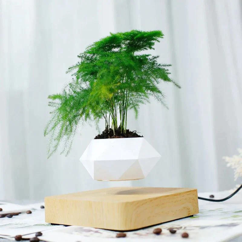 Homeko Levitating Flower Pot -