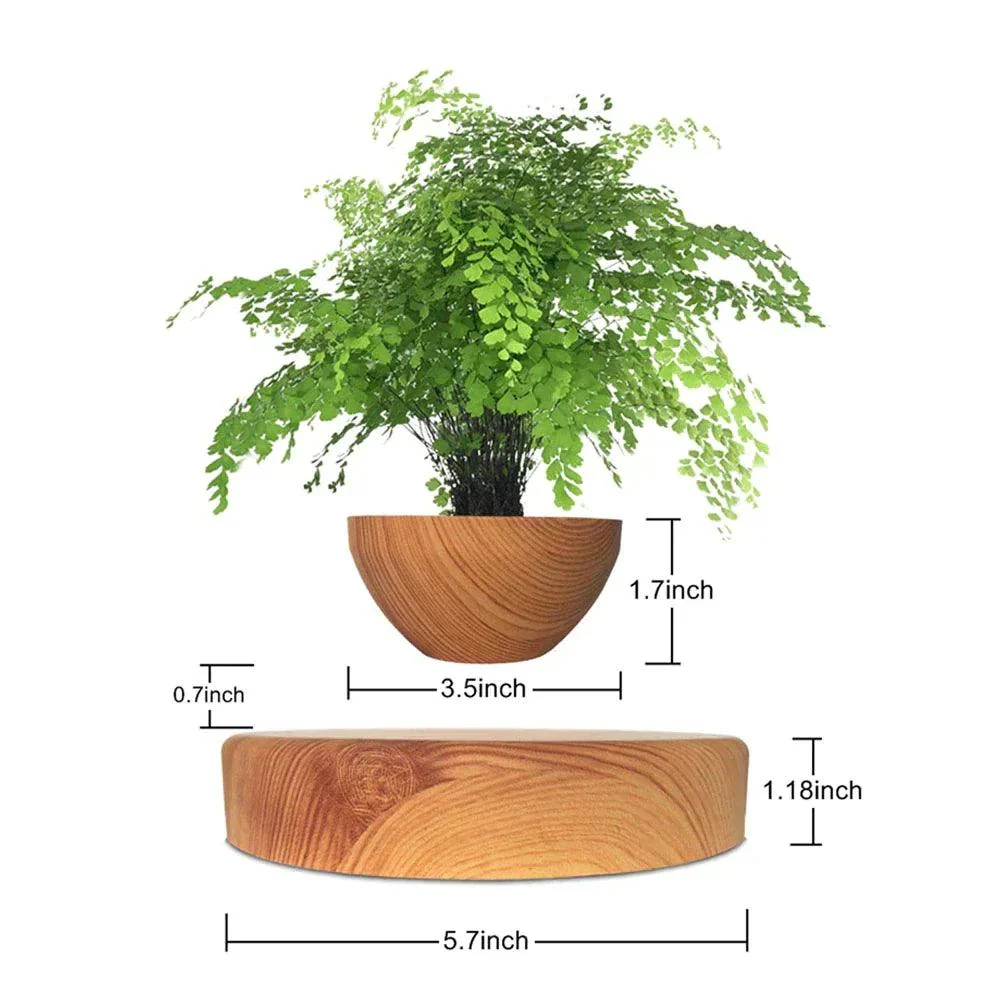 Homeko Levitating Flower Pot -