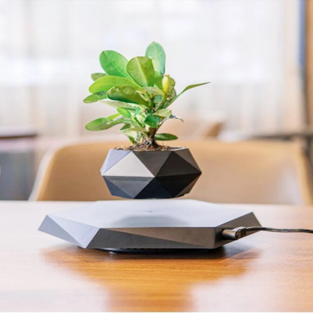 Homeko Levitating Flower Pot -