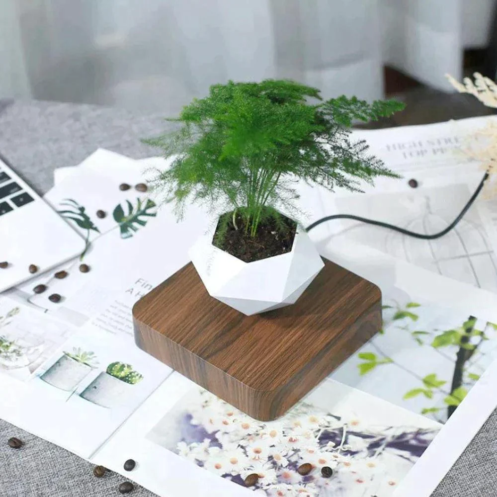Homeko Levitating Flower Pot -
