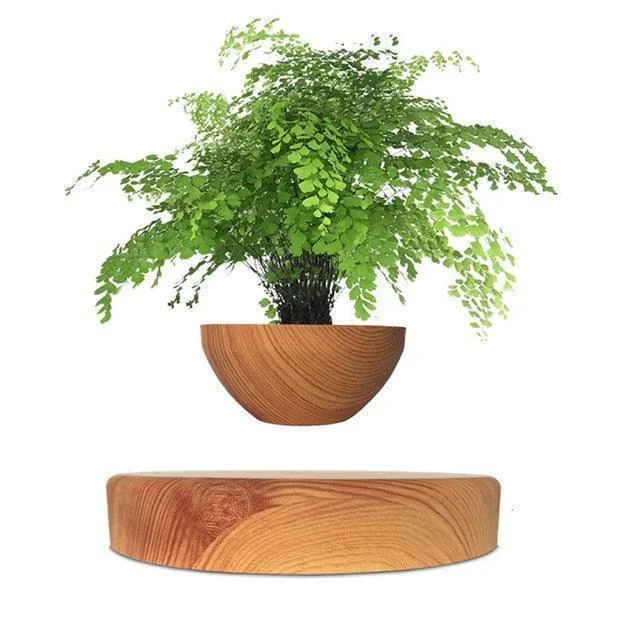 Homeko Levitating Flower Pot -