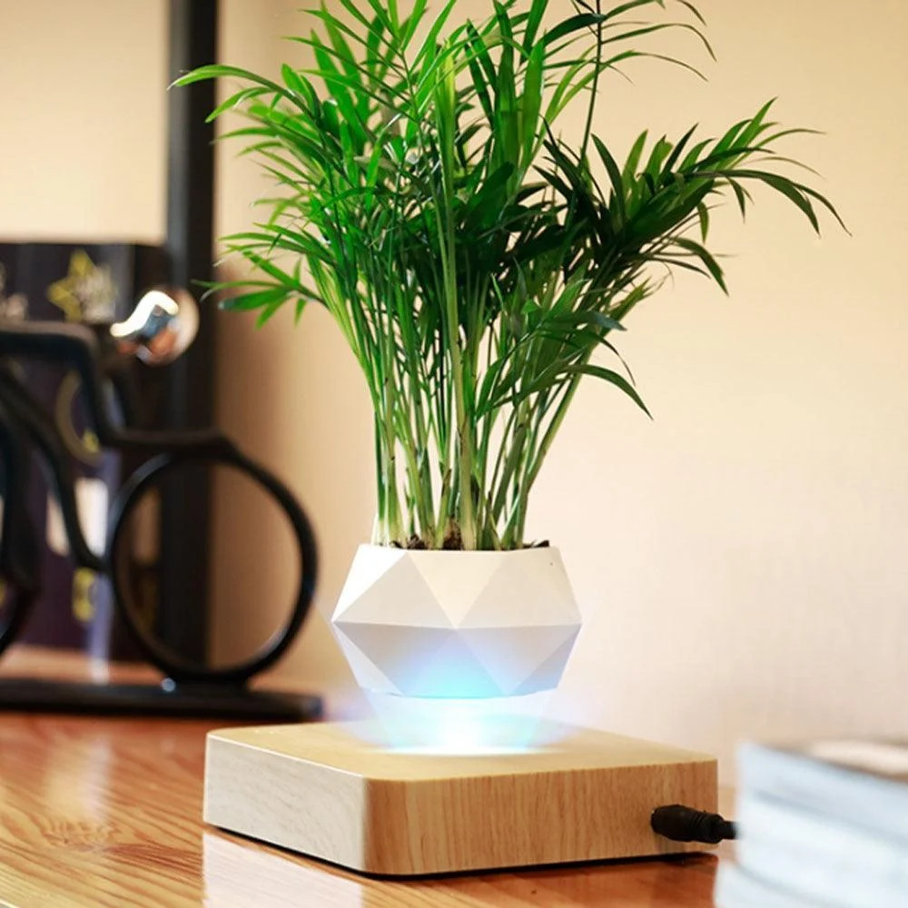 Homeko Levitating Flower Pot -