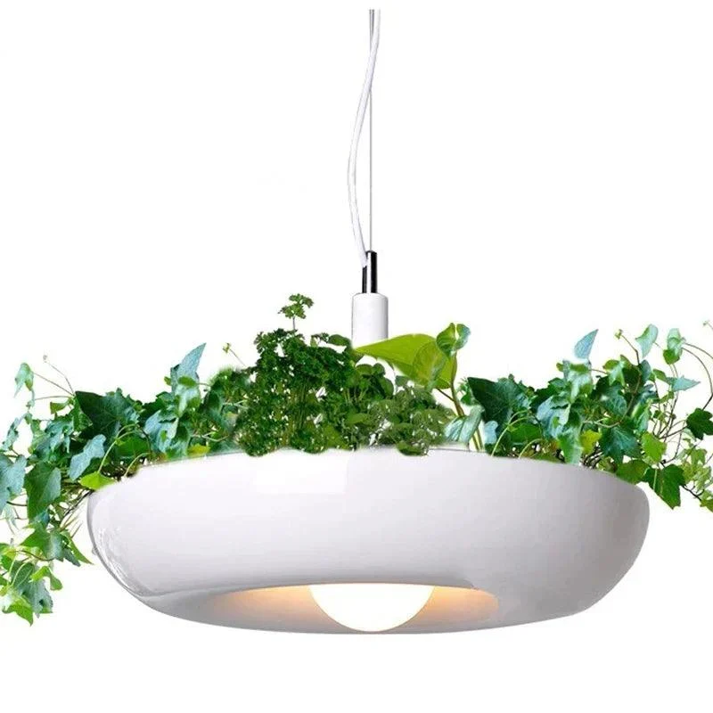 Homeko_Planter_Pendant_Lamp_-_-4273432 Homeko Planter Pendant Lamp -