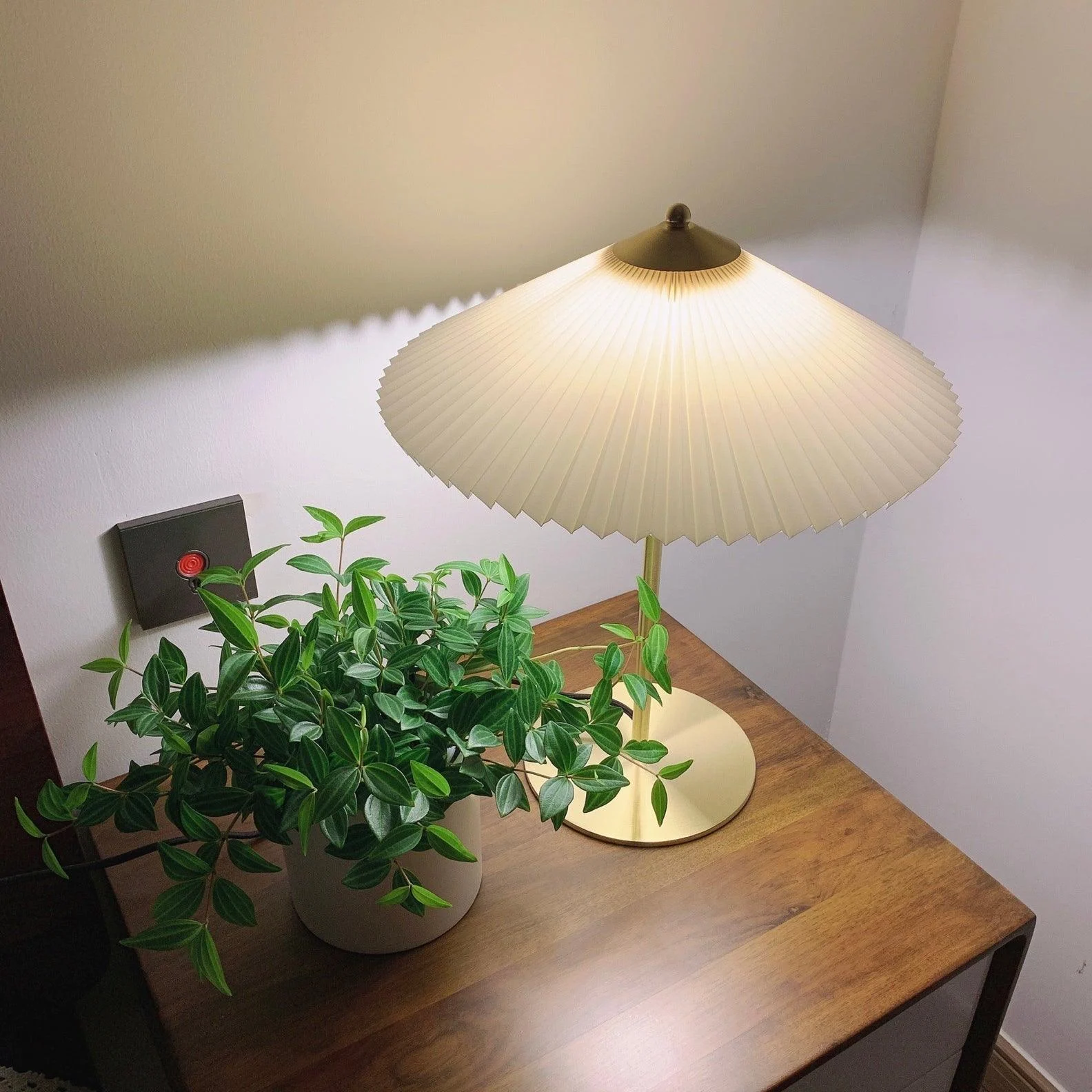 Homeko_Pleated_Table_Lamp_-_-4273844 Homeko Pleated Table Lamp -