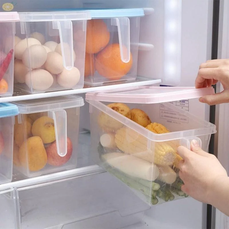 Homeko_Sealable_Fridge_Storage_Boxes_-_-4278358 Homeko Sealable Fridge Storage Boxes -
