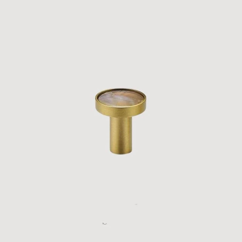 Homeko Shell & Brass Wall Hooks Decorative -