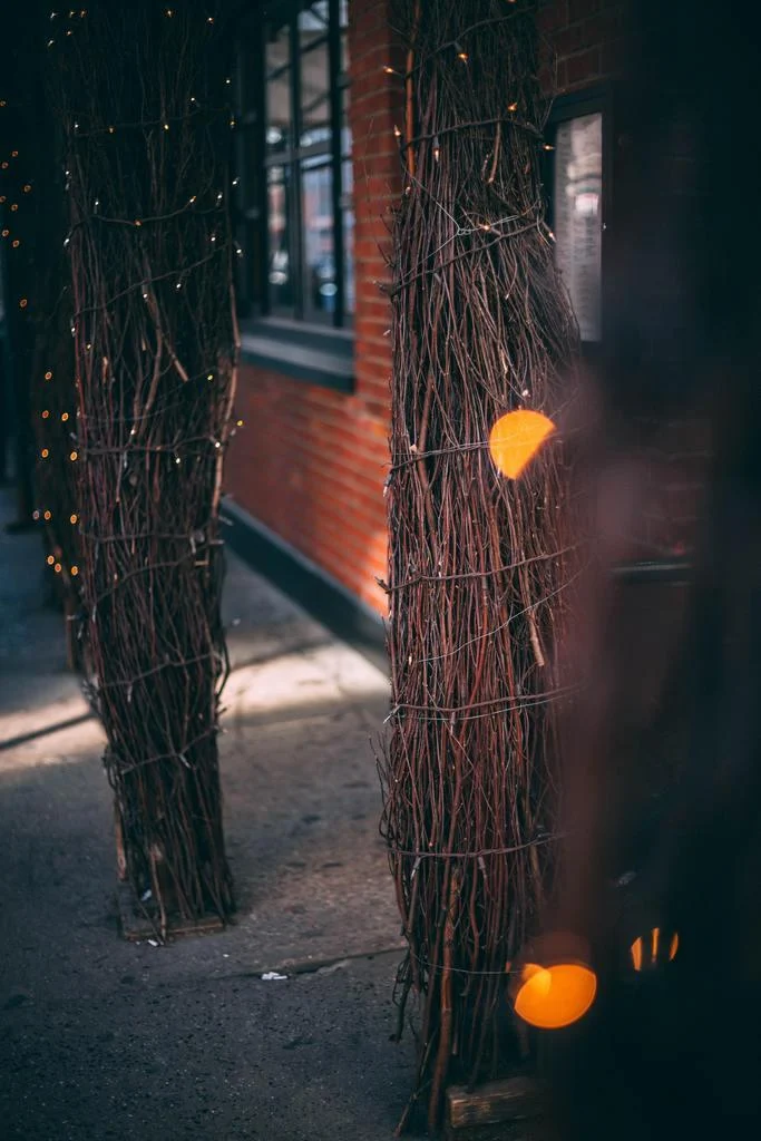 Homeko_Solar_Powered_String_Lights_-_-4280596 Homeko Solar Powered String Lights -