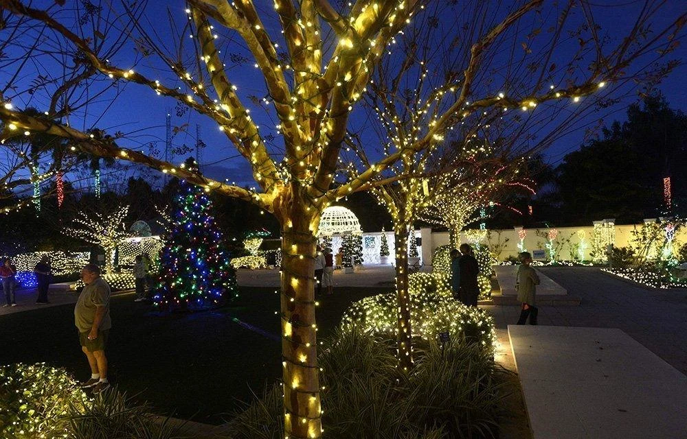 Homeko_Solar_Powered_String_Lights_-_-4280618 Homeko Solar Powered String Lights -