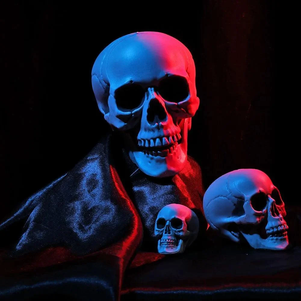 Homeko_Very_Scary_Halloween_Skull_-_-4288664 Homeko Very Scary Halloween Skull -