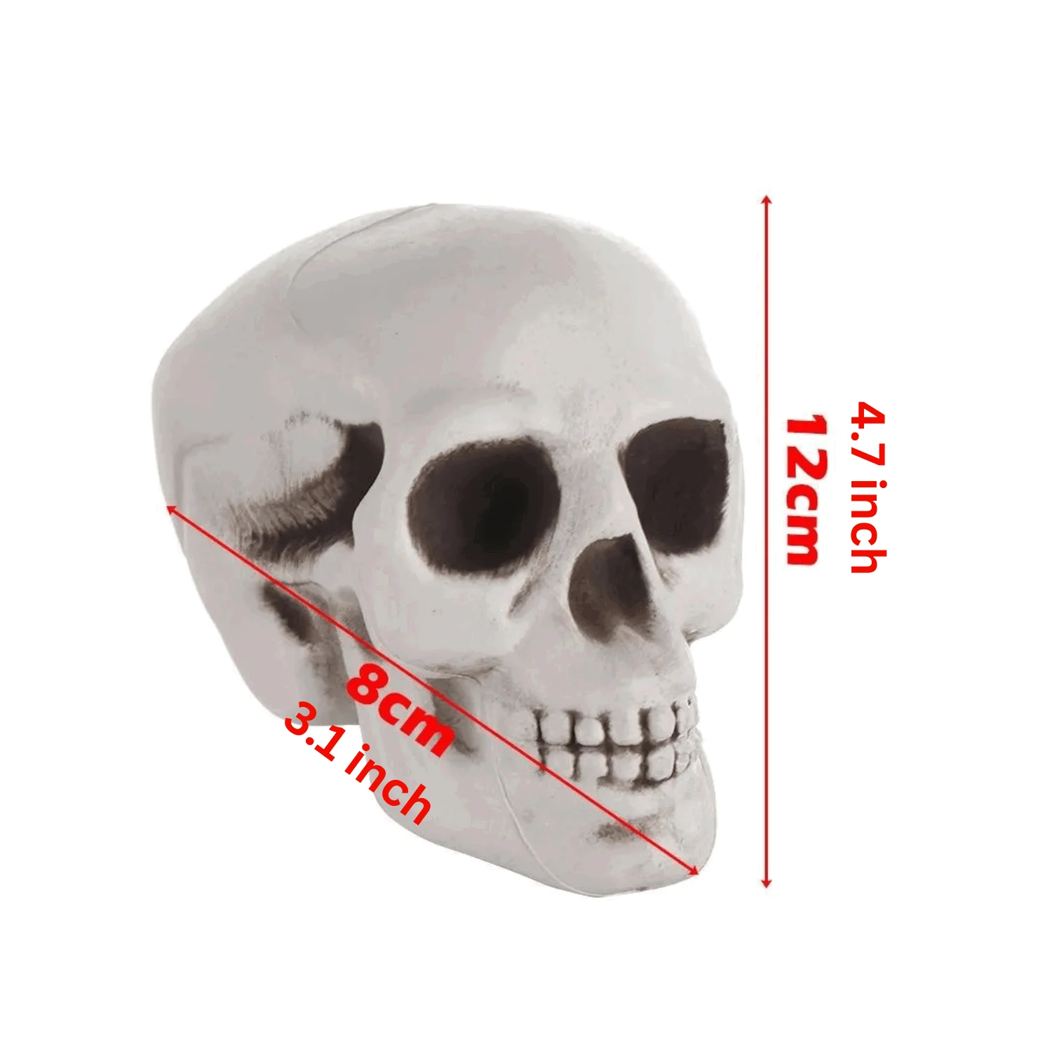 Homeko_Very_Scary_Halloween_Skull_-_-4288683 Homeko Very Scary Halloween Skull -