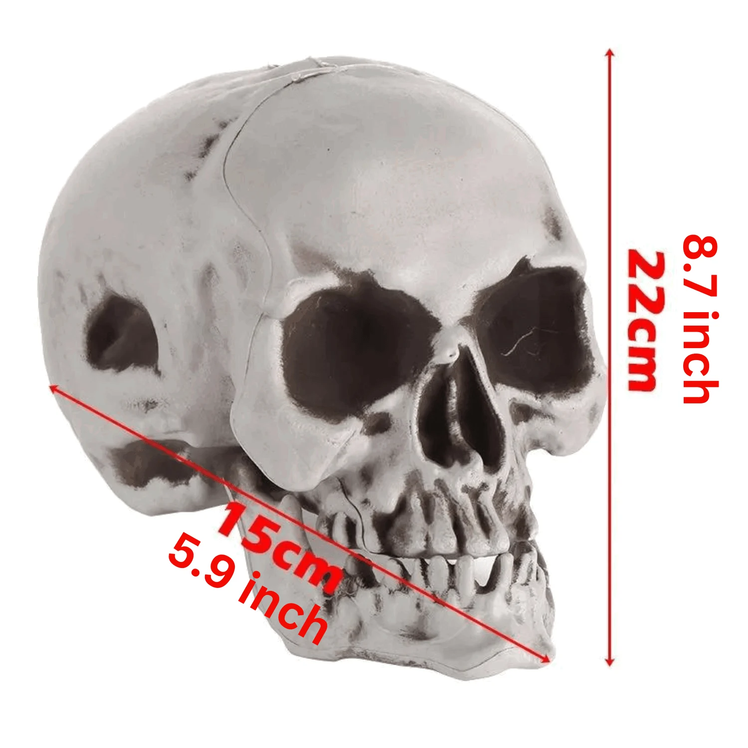 Homeko_Very_Scary_Halloween_Skull_-_-4288688 Homeko Very Scary Halloween Skull -