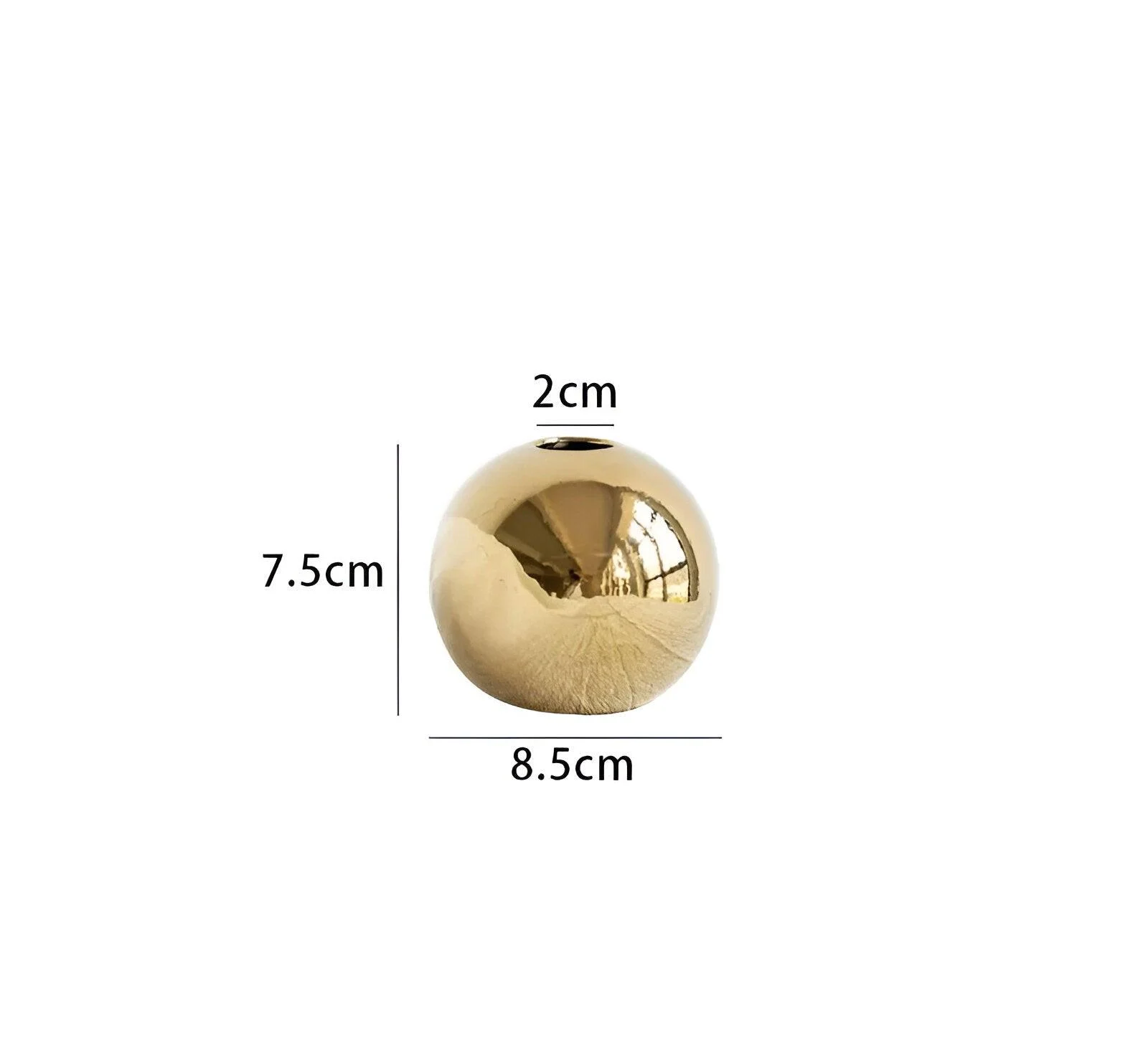 HomoraFloraOrbVase4 Homorafloraorbvase4