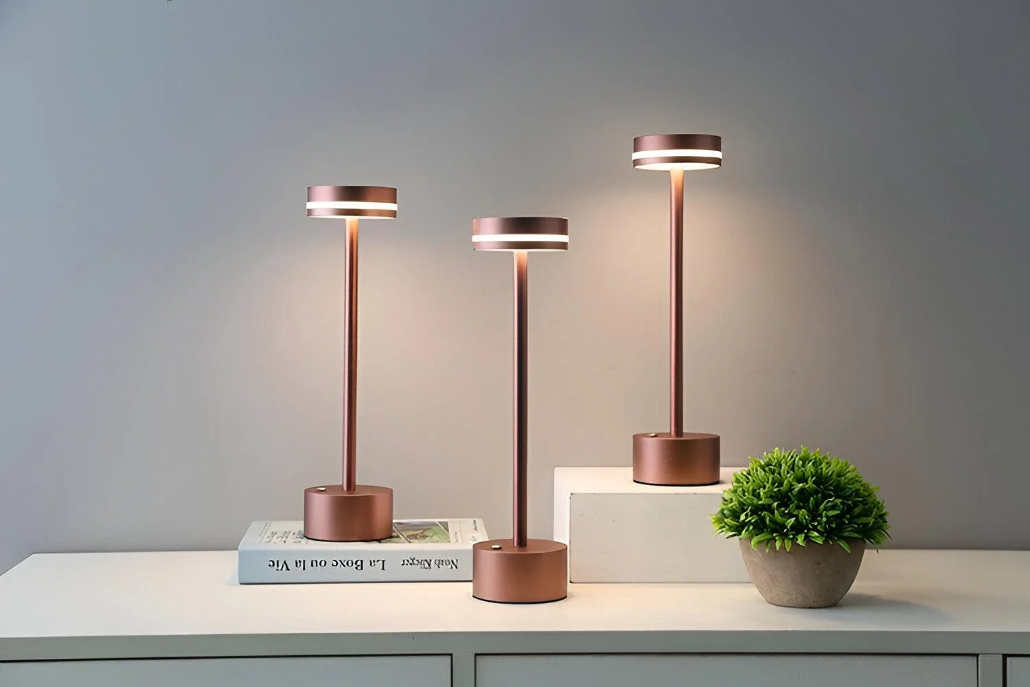 HomoraHantelLEDTouchLampe10 Homorahantelledtouchlampe10