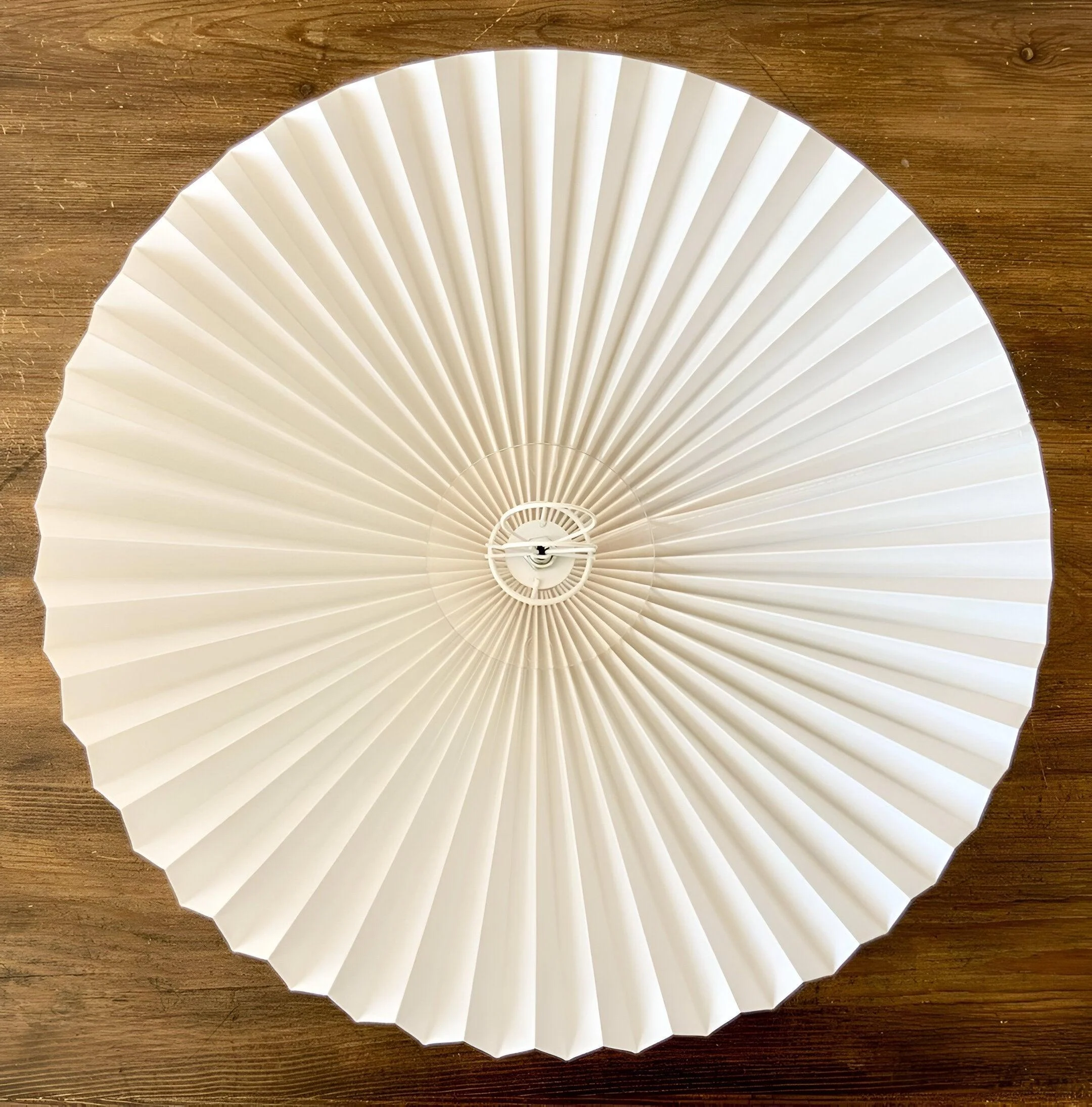 HomoraOriSquiggleLampe17 Homoraorisquigglelampe17