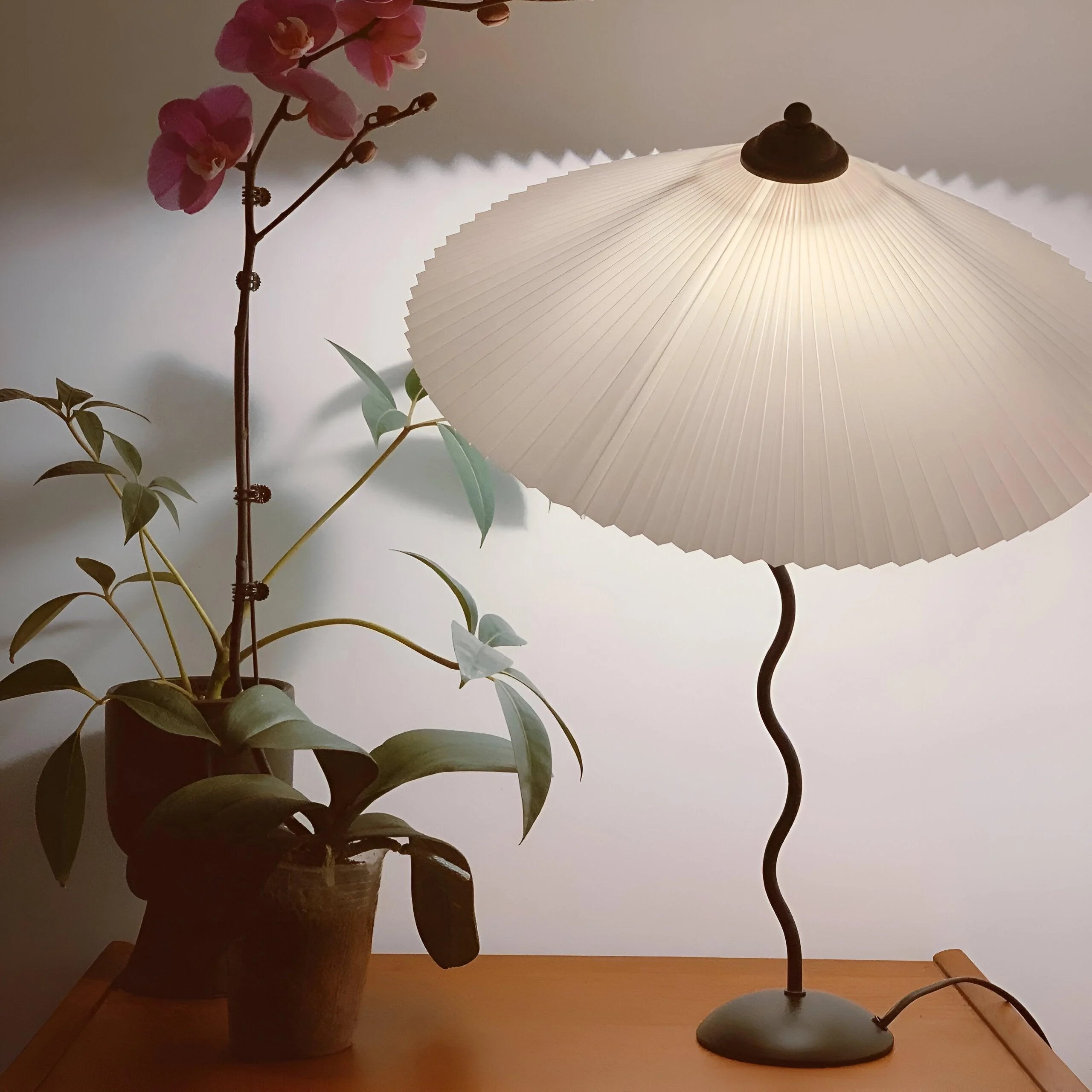 HomoraOriSquiggleLampe28 Homoraorisquigglelampe28