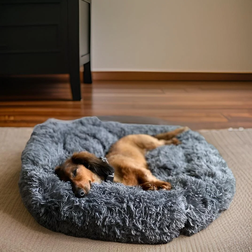 HomoraPawsBed6_1711423503394 Homorapawsbed6 1711423503394