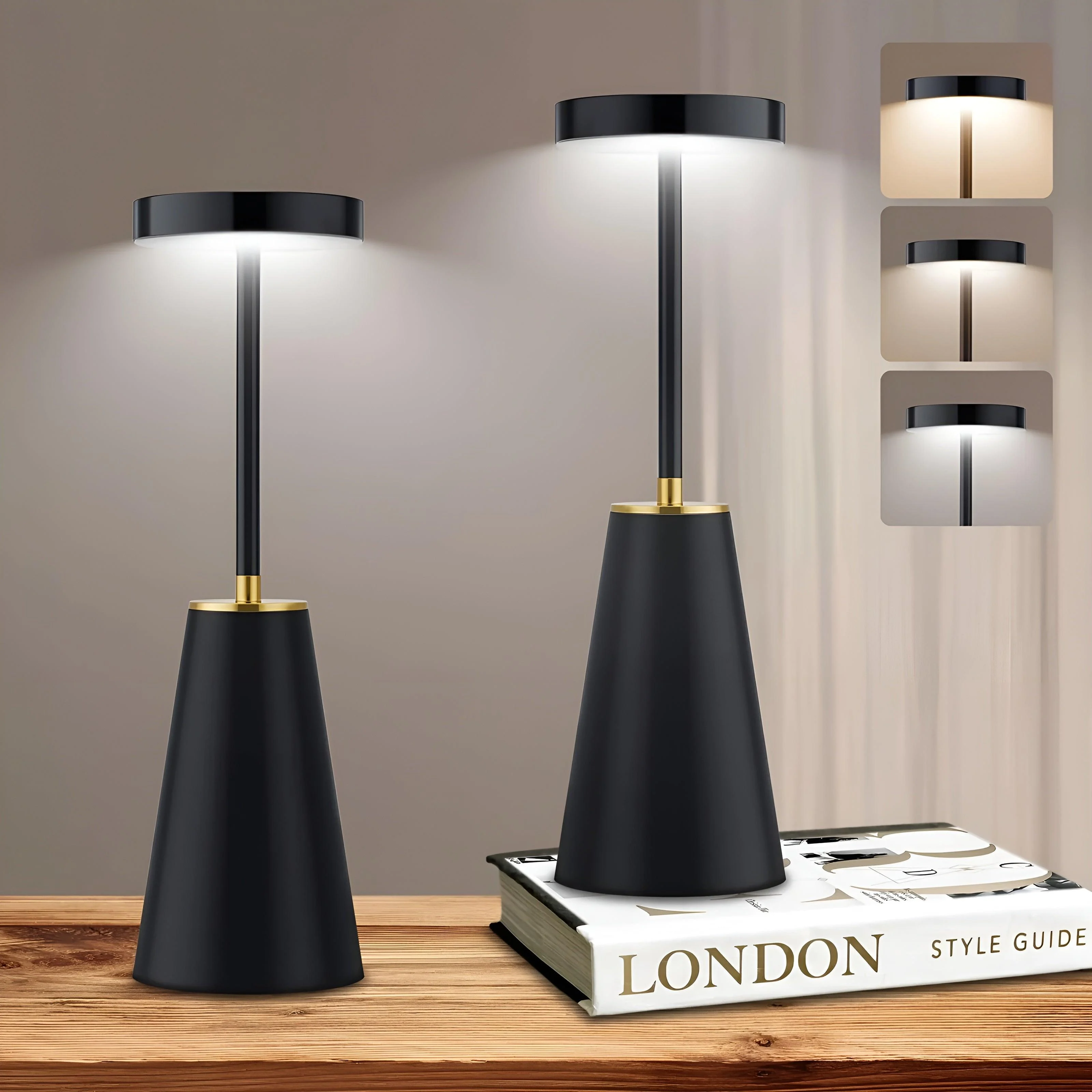 Homorasleeklamp5