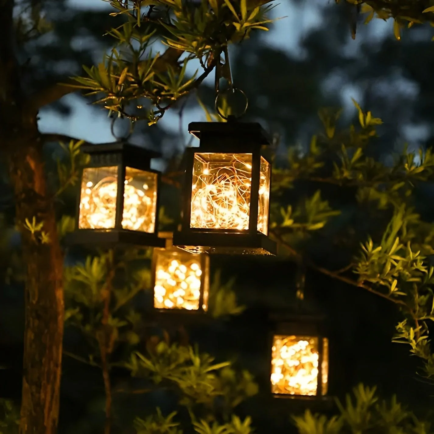 HomoraSolLantern1 Homorasollantern1