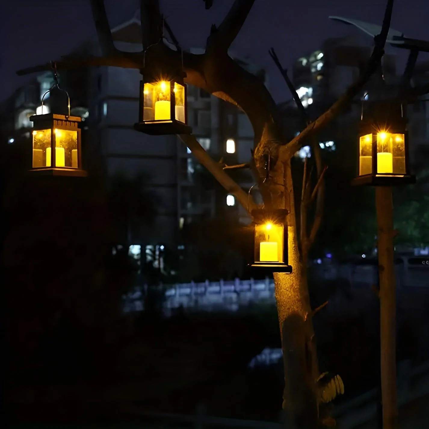 HomoraSolLantern2 Homorasollantern2