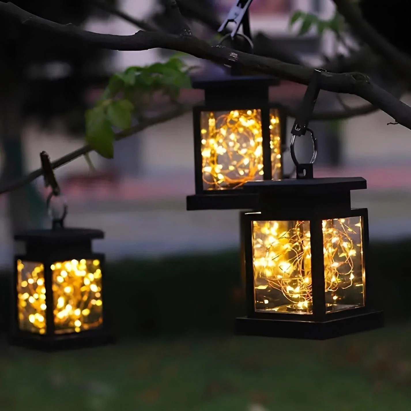 HomoraSolLantern8 Homorasollantern8