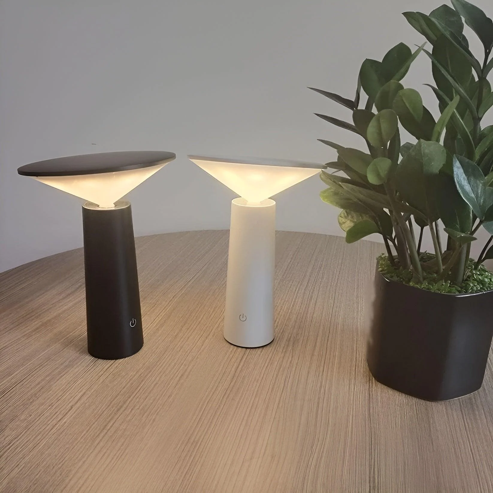 HomoraVersaLight6 Homoraversalight6