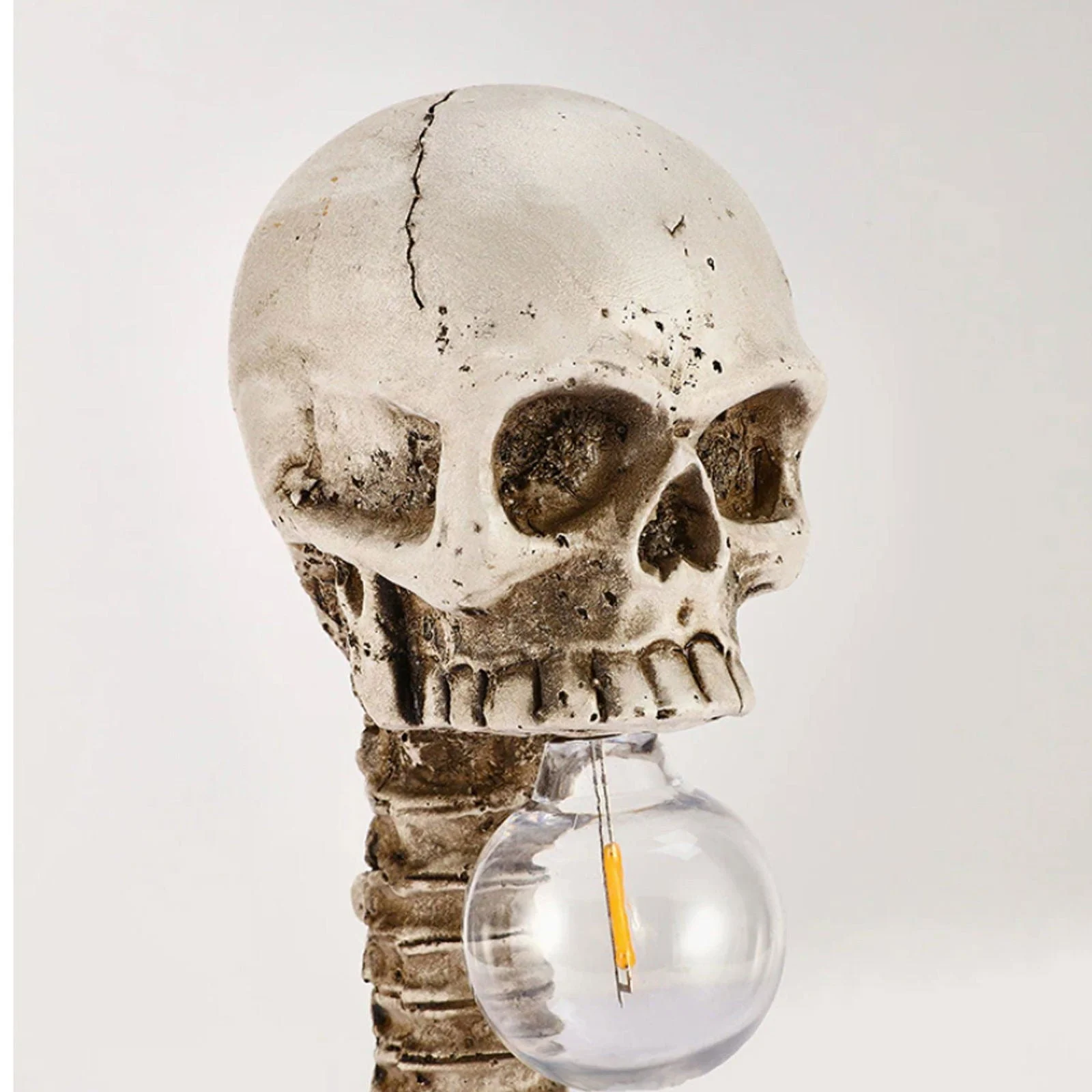 Horror_Skull_with_Spine_Lamp_-_-4297898 Horror Skull with Spine Lamp -