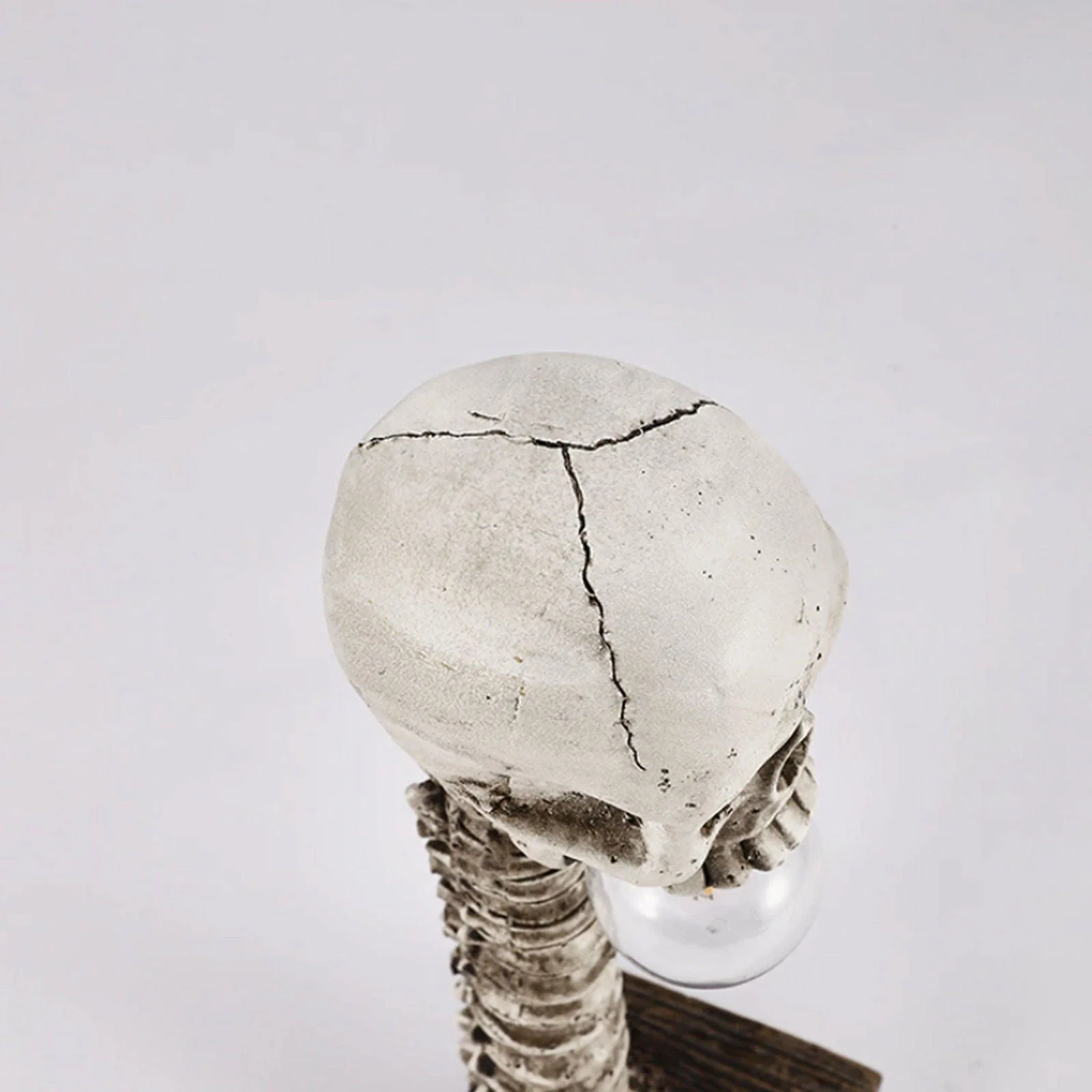 Horror_Skull_with_Spine_Lamp_-_-4297905 Horror Skull with Spine Lamp -