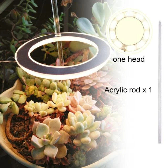 Houseplant Halo -