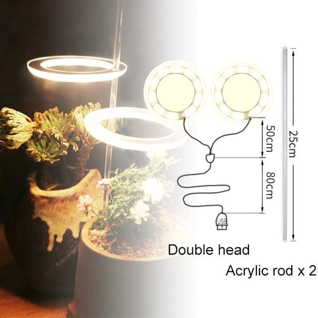 Houseplant Halo -
