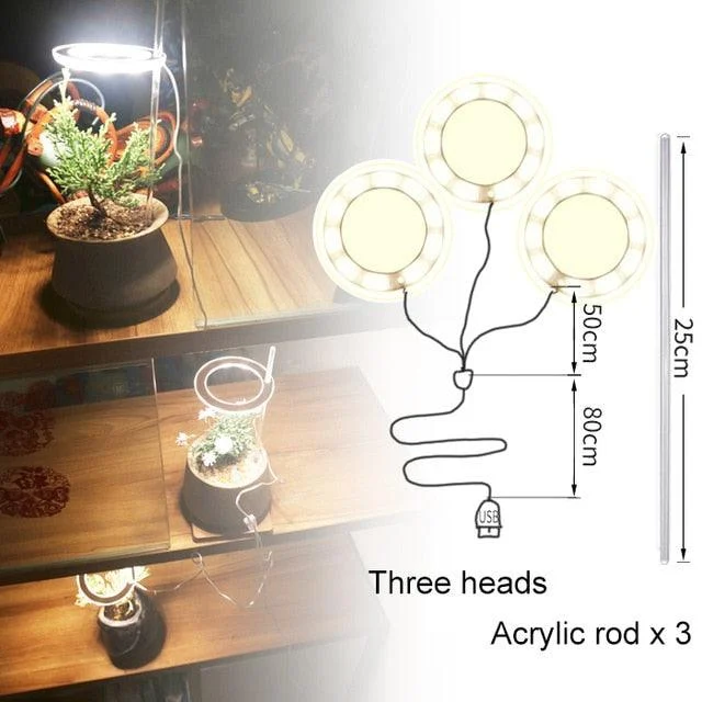 Houseplant Halo -