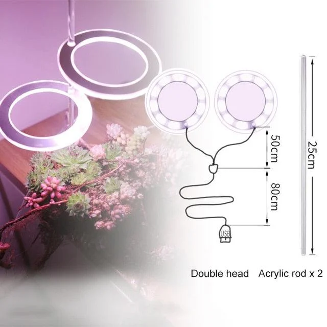 Houseplant Halo -