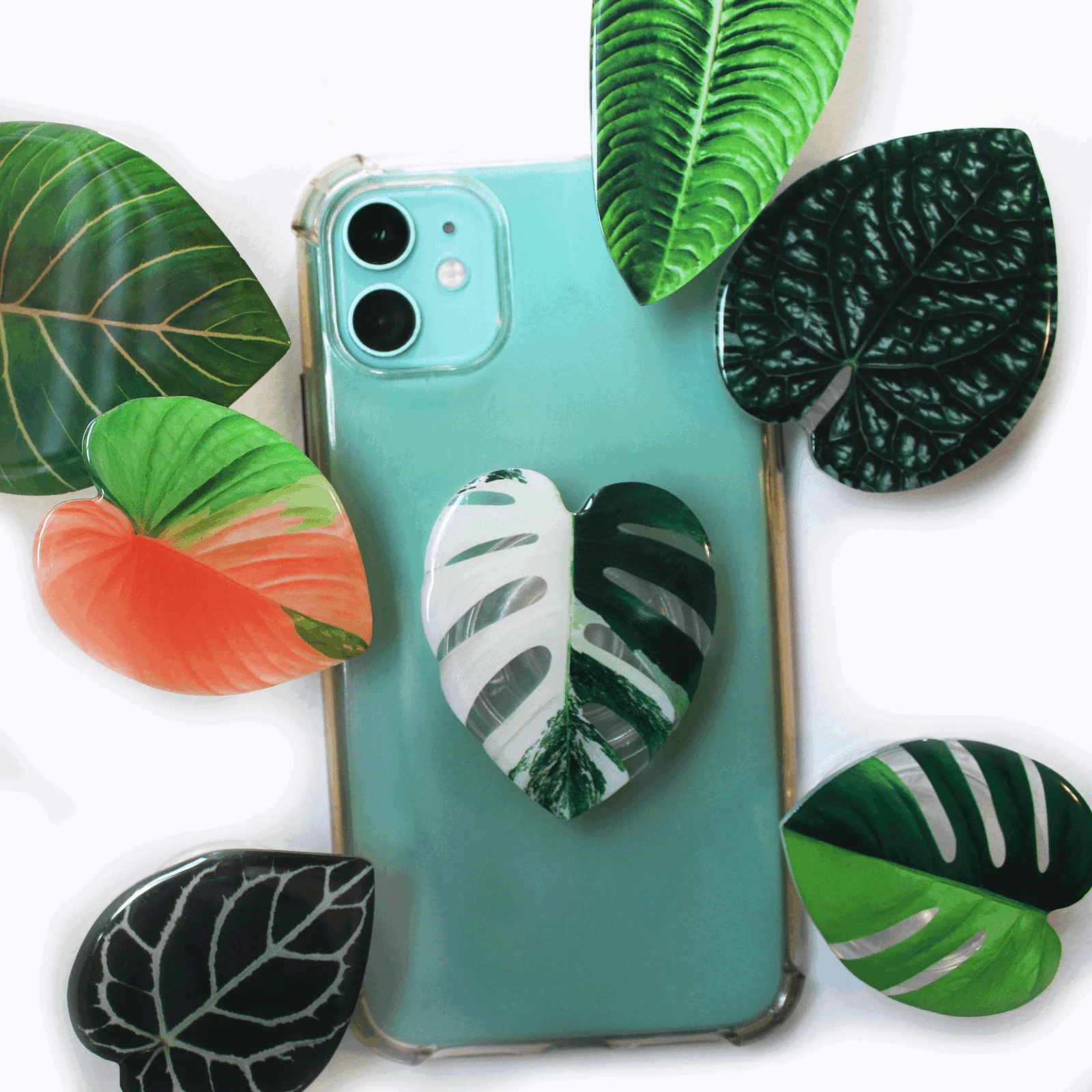 Houseplant Phone Socket -