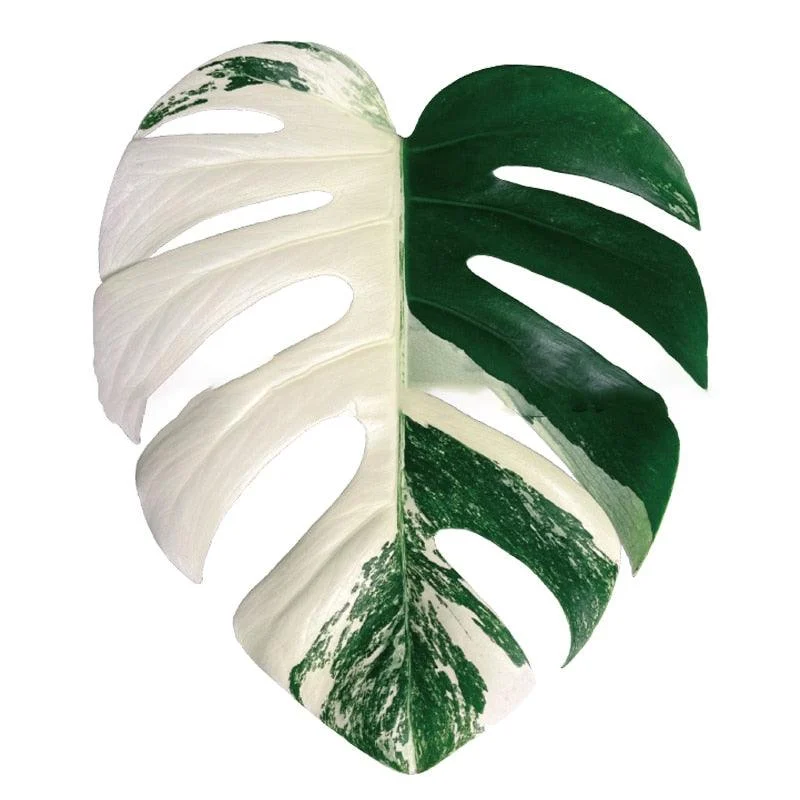 Houseplant_Phone_Socket_-_-4298942 Houseplant Phone Socket -