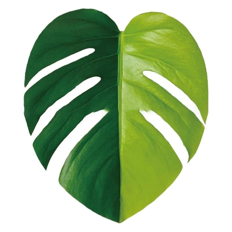 Houseplant_Phone_Socket_-_-4298949 Houseplant Phone Socket -