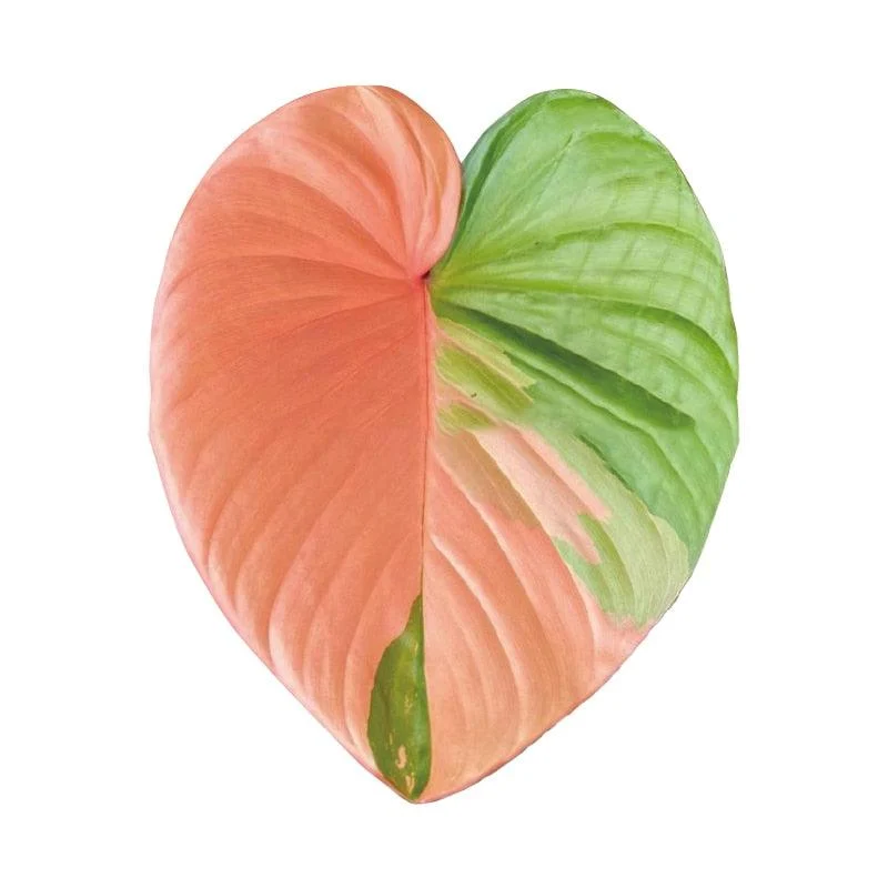 Houseplant_Phone_Socket_-_-4298972 Houseplant Phone Socket -