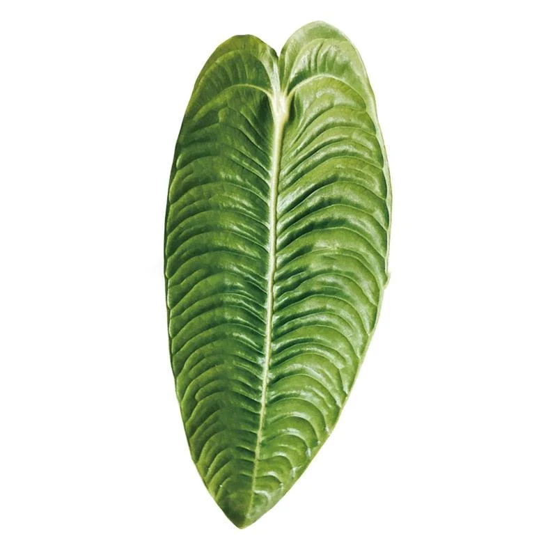 Houseplant_Phone_Socket_-_-4298982 Houseplant Phone Socket -