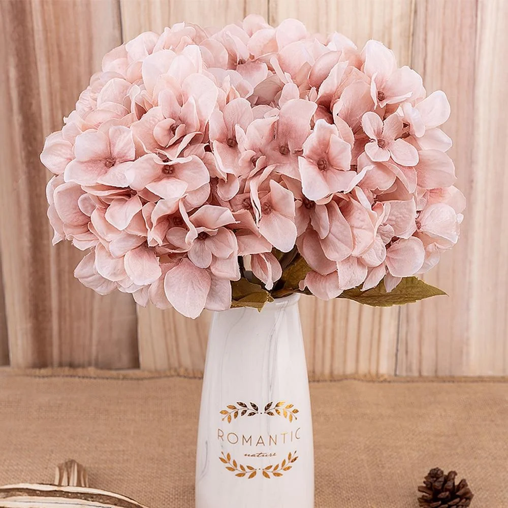 Hydrangea - - #tag1#