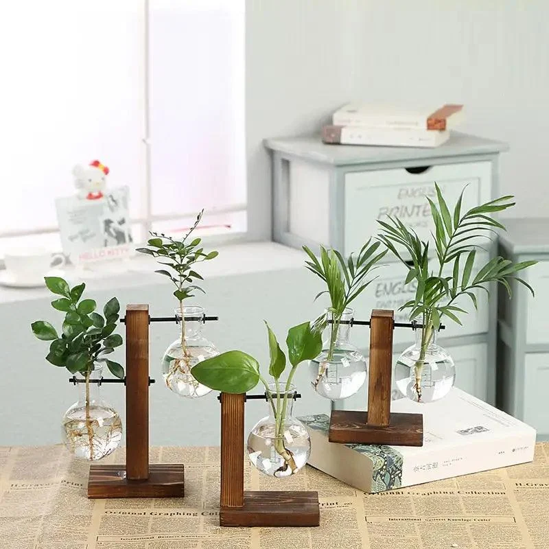 HydroponicPlantPropagationTree-Homeko2 Hydroponic Plant Propagation Tree - Homeko