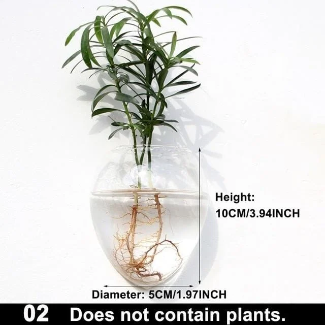 Hydroponic_Glass_Pot_-_-_tag1_-4275776 Hydroponic Glass Pot - - #tag1#